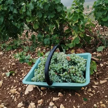 Gite Truffiere De La Garrigue, Cubjac, Dordogne Exterior photo