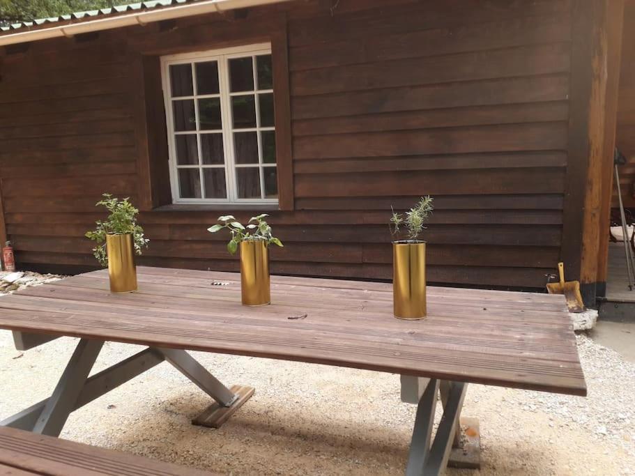 Truffiere De La Garrigue, Cubjac, Dordogne Ferienhaus *