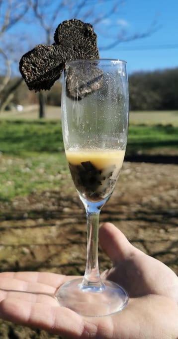 Truffiere De La Garrigue, Cubjac, Dordogne
