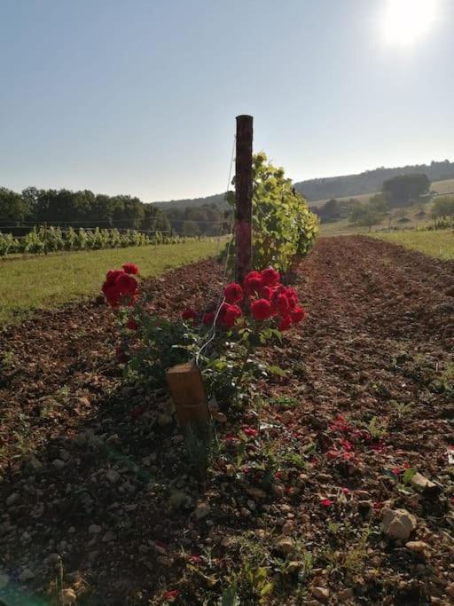 Truffiere De La Garrigue, Cubjac, Dordogne *