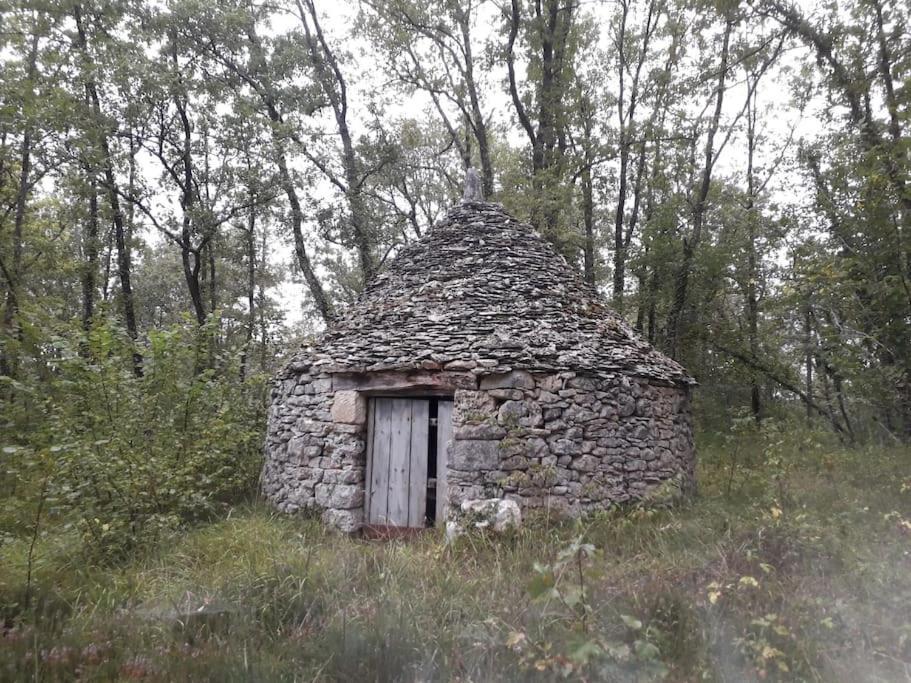 Truffiere De La Garrigue, Cubjac, Dordogne Ferienhaus *